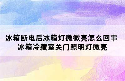 冰箱断电后冰箱灯微微亮怎么回事 冰箱冷藏室关门照明灯微亮